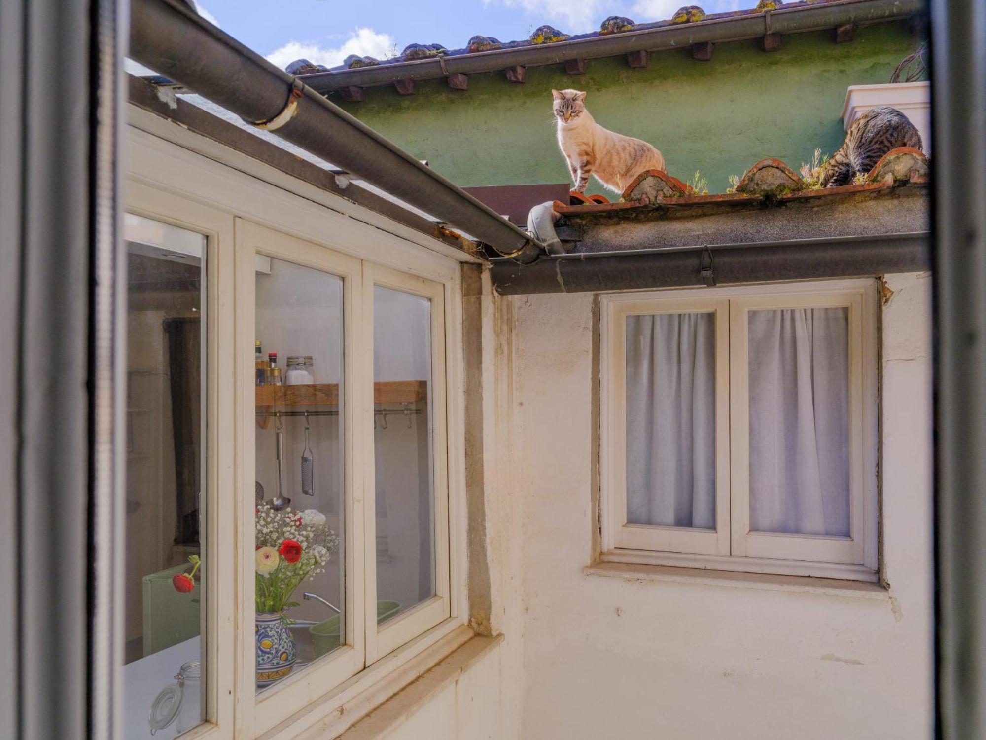 Nugolo Atelier - Light & Charm In Oltrarno Apartamento
